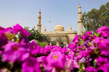 Dubai, United Arab Emirates - Reporter: N/A. News. Purple flowers outside a mosque in Jumeirah. Sunday, April 18th, 2021. Dubai. Chris Whiteoak / The National