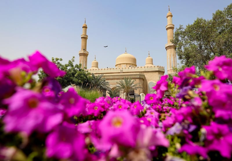 Dubai, United Arab Emirates - Reporter: N/A. News. Purple flowers outside a mosque in Jumeirah. Sunday, April 18th, 2021. Dubai. Chris Whiteoak / The National