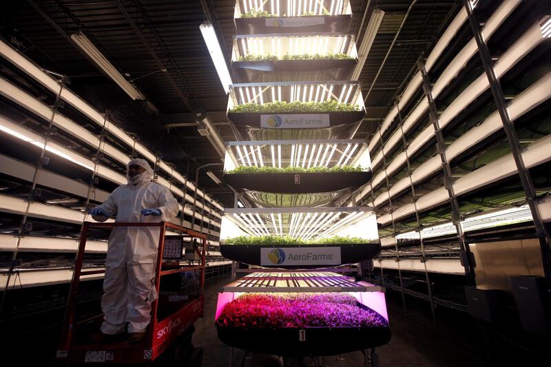 A worker rides a lift past racks of vertical farming beds lit with light emitting diode (or "LED") lamps and using a patented growing algorithm of controlled light, nutrients and temperatures to grow a variety of baby greens at an AeroFarms Inc. indoor vertical farming facility in a former indoor paintball arena in Newark, New Jersey,  June 24, 2016.  REUTERS/Mike Segar/File Photo                GLOBAL BUSINESS WEEK AHEAD PACKAGE Ð SEARCH ÒBUSINESS WEEK AHEAD 5 SEPTEMBERÓ FOR ALL IMAGES - S1AETZLIWQAA