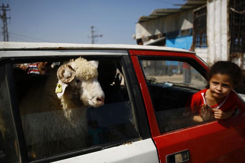 A Palestinian girl sits in a vehicle next with a sheep her father bought for the upcoming Eid Al Adha, or the Festival of Sacrifice, holiday on September 9, 2016, in Gaza city. Muslims across the world are preparing to celebrate the annual festival, which marks the end of the Haj pilgrimage to Mecca and commemorates Prophet Abraham’s readiness to sacrifice his son to show obedience to God. Mohammed Abed / Agence France-Presse