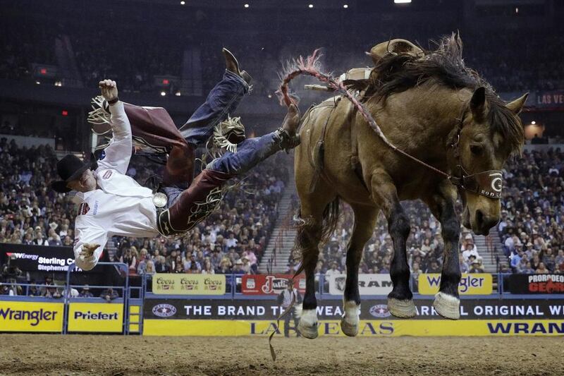 Sterling Crawley gets tossed off his horse while competing in the saddle bronco riding event during the final night of the National Finals Rodeo, in Las Vegas. John Locher / AP