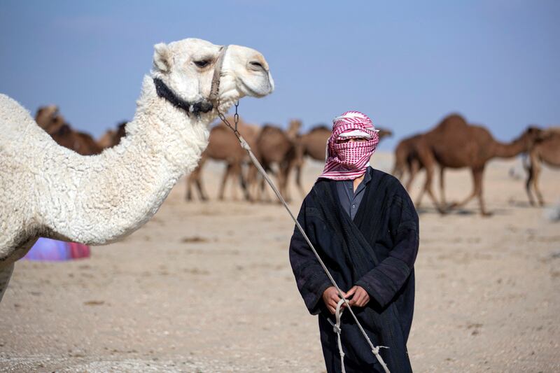 An Iraqi camel herder poses in the desert of Samawa in the southern Al Muthanna province. AFP