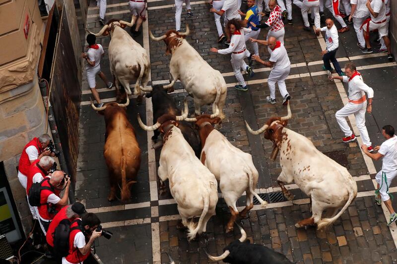 Revellers sprint in front of bulls and steers during the first running of the bulls at the San Fermin festival in Pamplona, Spain.  Reuters