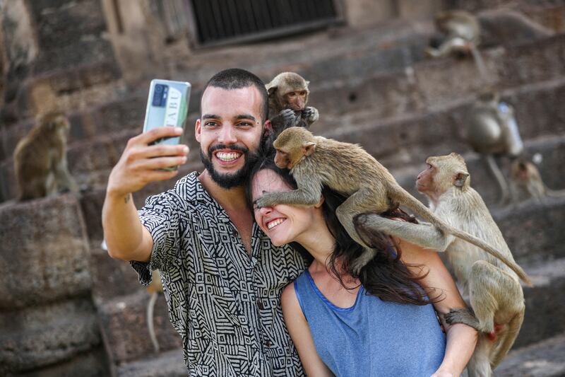 Monkeys clamber on to tourists during the annual Monkey Festival in Lopburi province, Thailand. Reuters