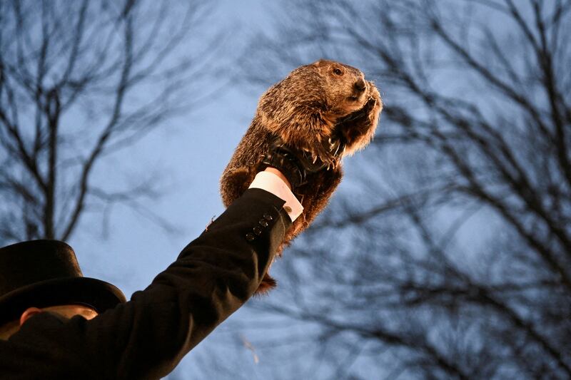 AJ Dereume holds up Punxsutawney Phil, the groundhog who predicts how long winter will last, during the Groundhog Day festivities at Gobbler's Knob in Punxsutawney, Pennsylvania, US. Reuters