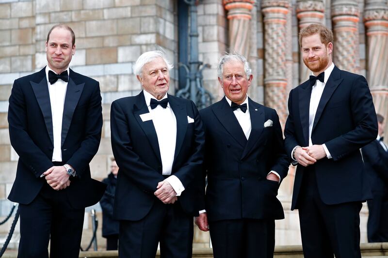(L-R) Prince William, Sir David Attenborough, Prince Charles — now king — and Prince Harry attend the world premiere of Our Planet at London's Natural History Museum in April 2019. Getty Images