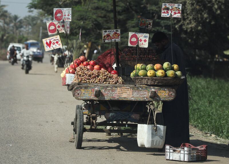 A fruit and vegetable street vendor at work on the outskirts of Giza in the Greater Cairo area. Reuters