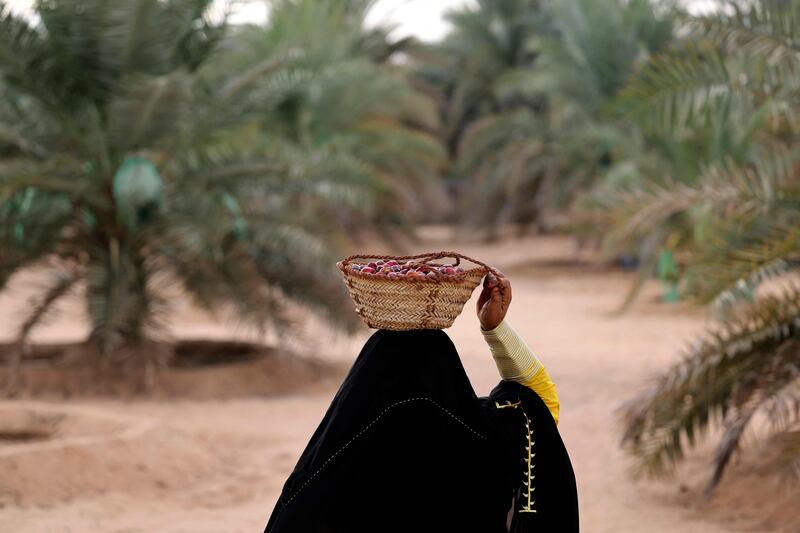An Emirati woman carries a basket of freshly picked dates in Khanou.