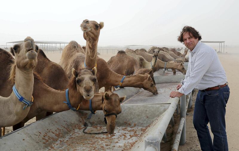 DUBAI, UNITED ARAB EMIRATES , Jan 26  – 2020 :- Dr Peter Nagy , Head of Department , Emirates Industry for Camel Milk & Products at the Camelicious Farm in Umm Nahad 3 area in Dubai. ( Pawan  Singh / The National ) For POAN. Story by Kelly