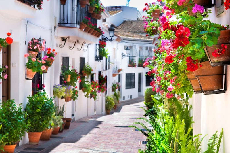 vista benalmadena,
calle maestra ayala, pueblo, macetas, flores
mayo 2010