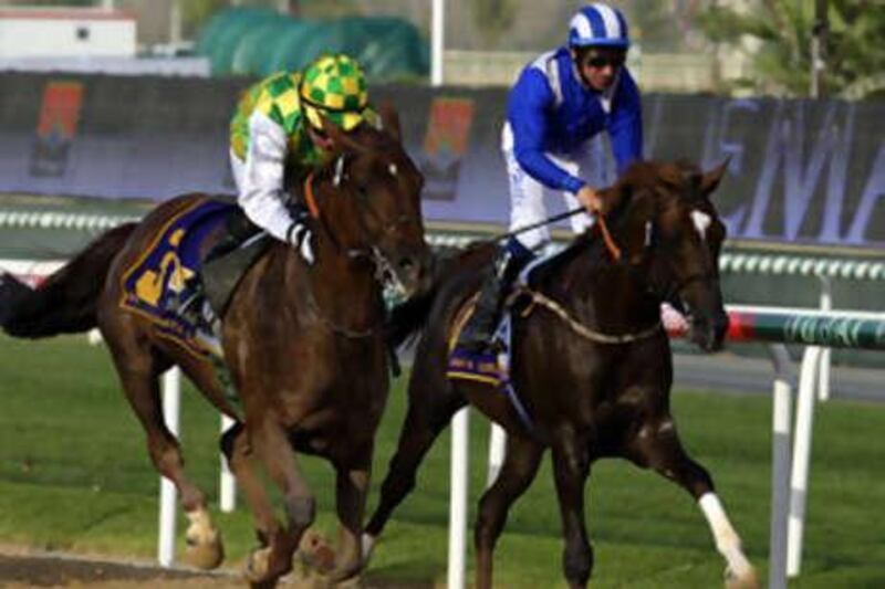 Richard Hills, on the far right, will guide the fortunes of Markoo, the Purebred Arabian horse owned by Sheikh Hamdan bin Rashid, in tonight's fifth meeting at the Nad Al Sheba.