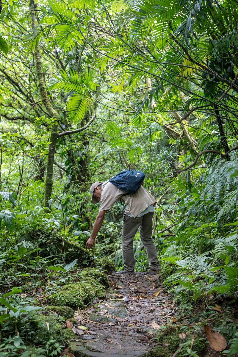 <p>The Puma Trail, Nicaragua. Jamie Lafferty</p>
