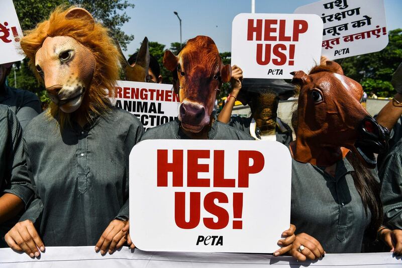 Indian volunteers for animal rights group People for the Ethical Treatment of Animal wear masks of various animals during a protest in New Delhi. Chandan Khanna/AFP