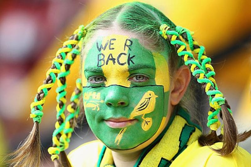 A Norwich City fan in face paint before their first Premier League game at Carrow Road in over six years. They would draw 1-1 with Stoke.

Julian Finney / Getty Images