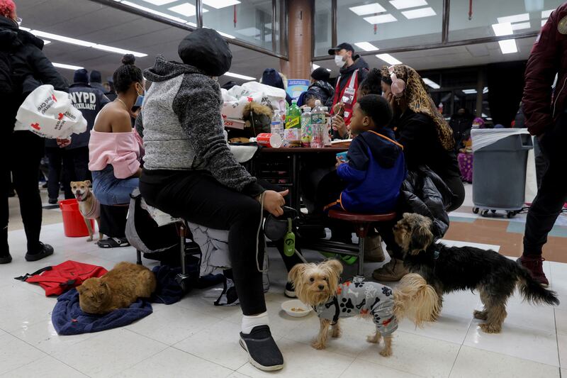 Residents and pets at the Red Cross centre after the building was evacuated. Reuters