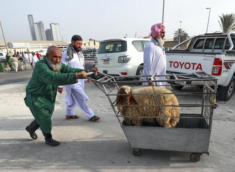 Abu Dhabi, U.A.E., August 22 , 2018.  Livestock shoppers for the second day of Eid Al Adha at the Abu Dhabi Livestock Market and the Abu Dhabi Public Slaughter House (Abu Dhabi Municipality) at the  Mina area. --  A slaughter house worker delivers a sheep to be processed.
Victor Besa/The National
Section:  NA
For:  stand alone and stock images