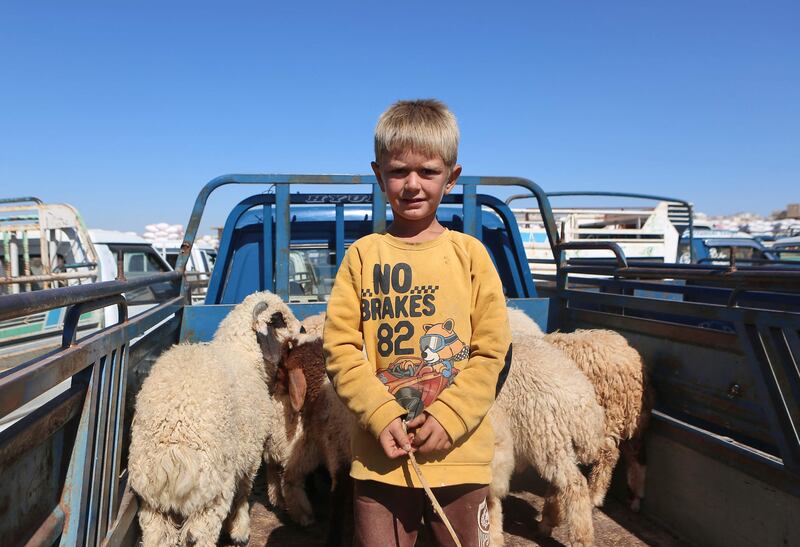 A child stands next to goats at a livestock market on the outskirts of the rebel-held town of Dana in Syria. AFP