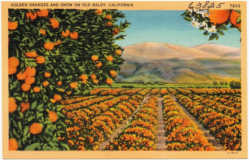 A summer scene in a vintage postcard, with Mount Baldy in the background. Photo: Public Domain