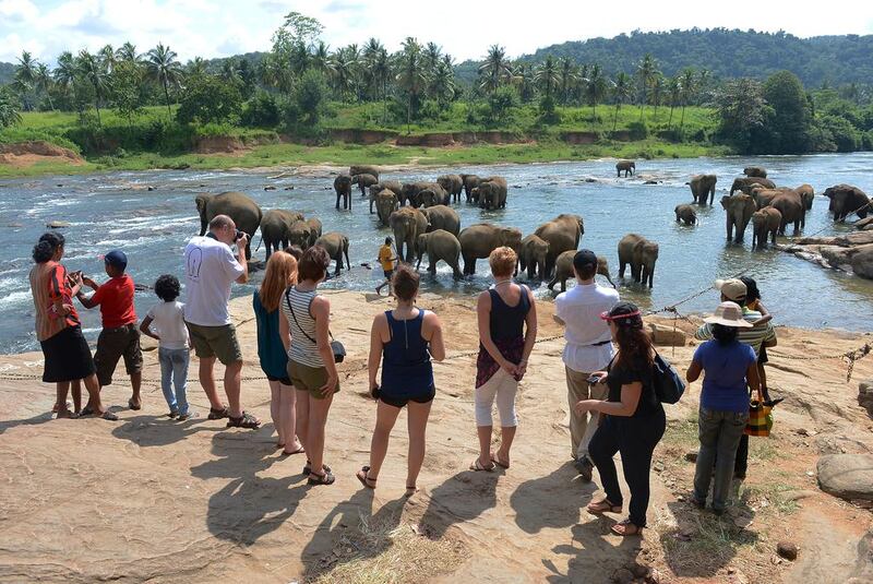 Tourists watch elephants at a river in Pinnawela, northeast of Colombo. Lakruwan Wanniarachchi / AFP