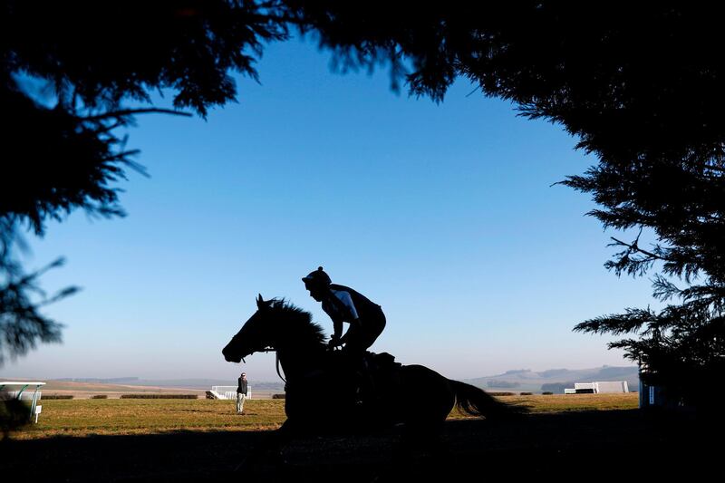 A horse is seen on the gallops near its stables in Lambourn, Berkshire, west of London. AFP