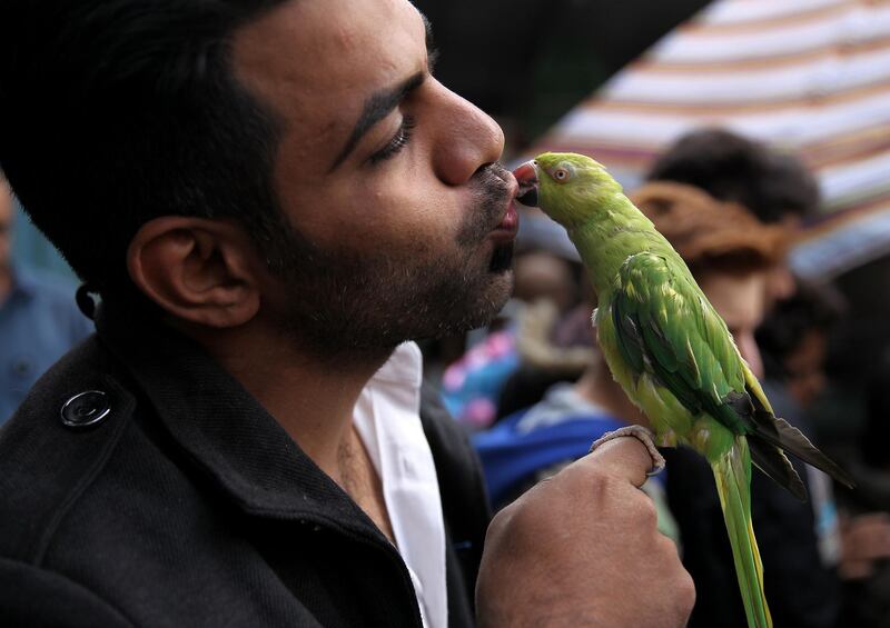 An Iraqi man kisses the beak of a bird at the Ghazl Market in central Baghdad. AFP