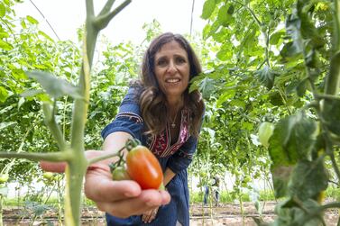 Elena Kinane checks on the tomatoes at her farm in Sharjah. Leslie Pableo for The National 
