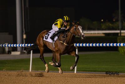 Adrie de Vries steers Shahama to win the UAE 1000 Guineas at Meydan on Friday, January 28, 2022. Photo: DHRIC