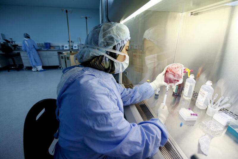 Clinical scientist Eiman El Kassas isolates pre-processed blood samples for stem cell extraction at the Dubai Cord Blood and Research Centre. The centre wants more mothers to donate their cord blood. Sarah Dea / The National