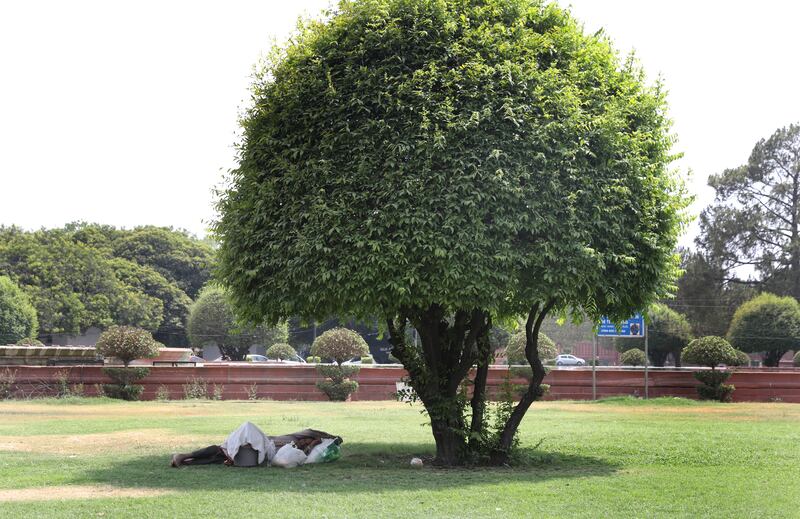 A man takes a nap under the shade of a tree as the temperature rises in New Delhi. EPA