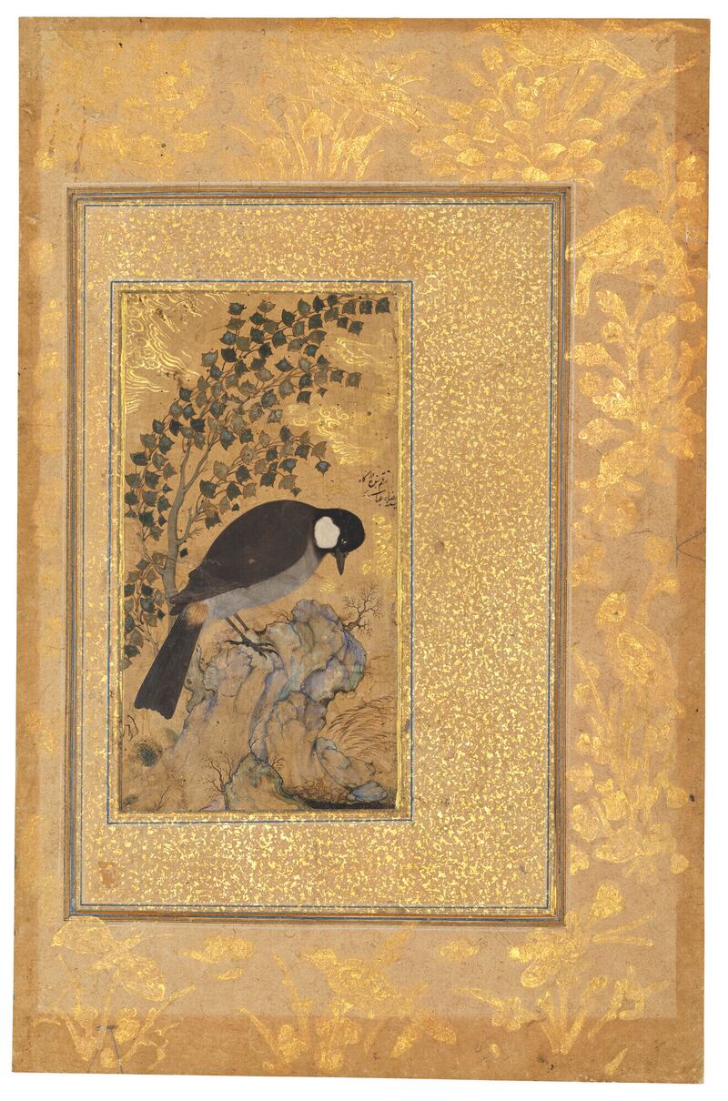 'A White-Eared Bulbul' (1620) by Reza Abbasi from Safavid Isfahan, Iran.