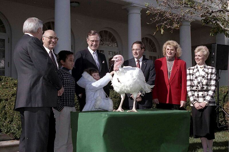 The first formalised turkey pardoning ceremony came when George HW Bush was president. 
Photo: George Bush Presidential Library and Museum / NARA