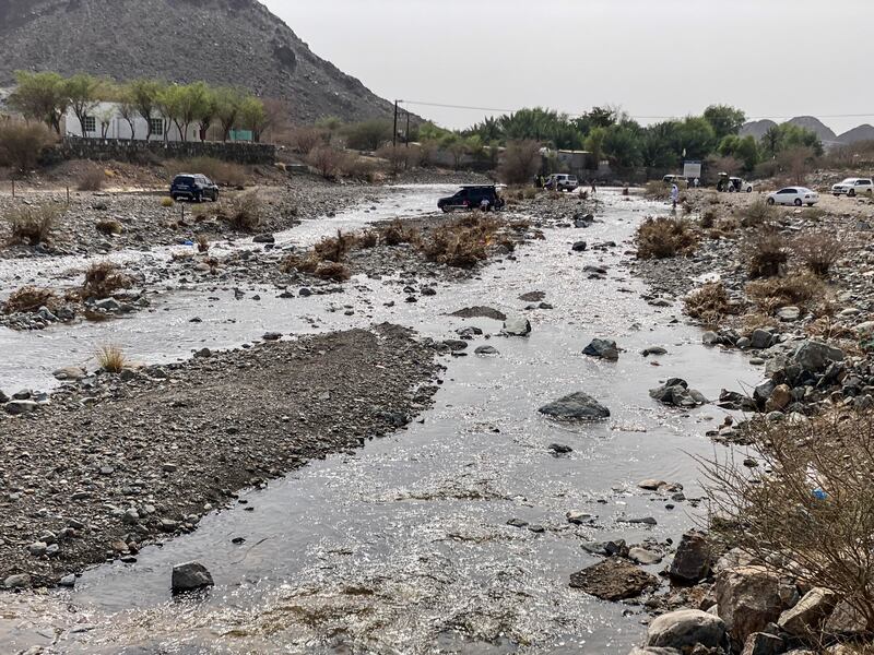 Surface water in Wadi Shawqa. Antonie Robertson / The National