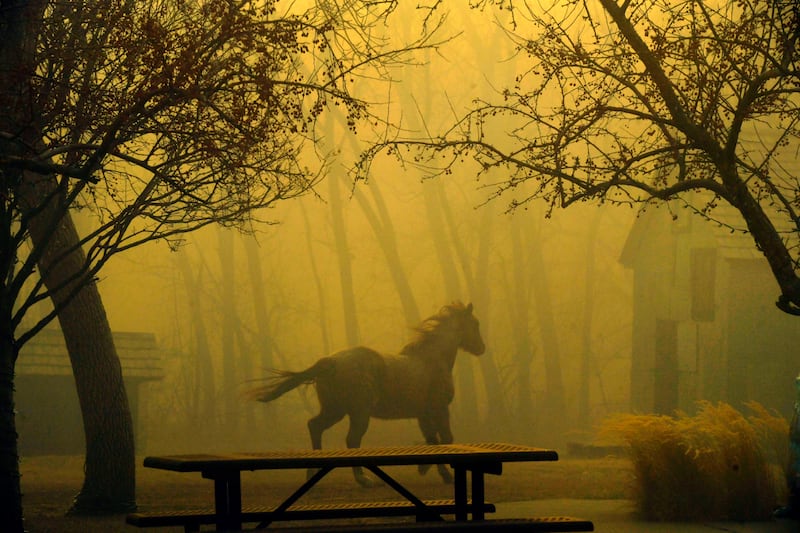 A horse runs through Grasso Park, as smoke from nearby fires reduces visibility in Superior. AP