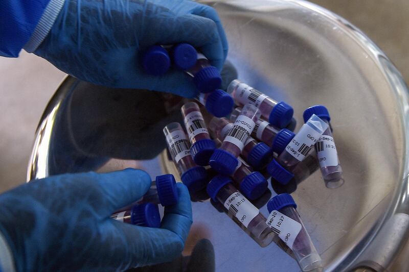 A health official collects swab samples at a testing site in Karachi. AFP