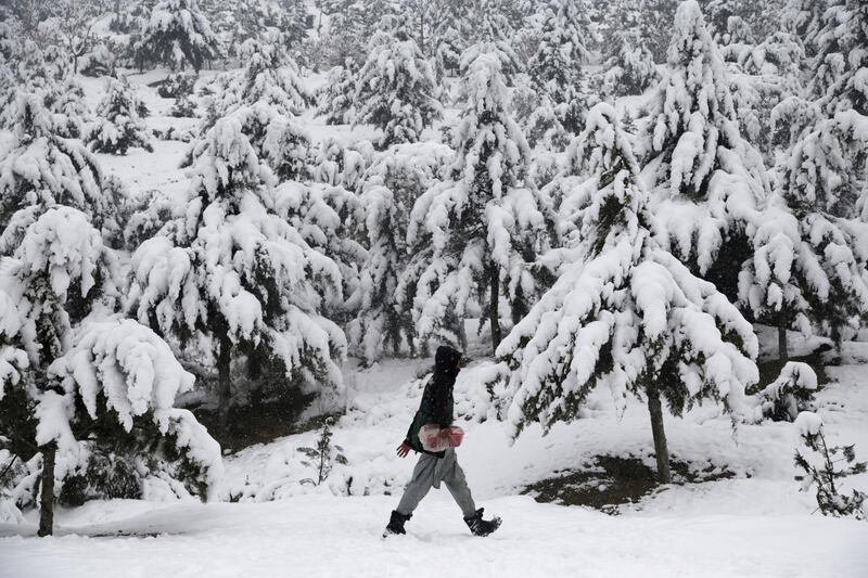A boy walks near snow-covered trees in Kabul, Afghanistan. AP Photo