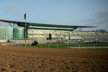 The Dubai World Cup contender Hot Rod Charlie gallops in the morning track work at Meydan Racecourse in Dubai, United Arab Emirates, Friday, March 18, 2022.  (AP Photo / Martin Dokoupil)