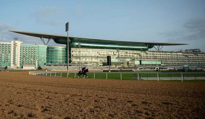 Dubai World Cup contender Hot Rod Charlie gallops at Meydan. AP Photo