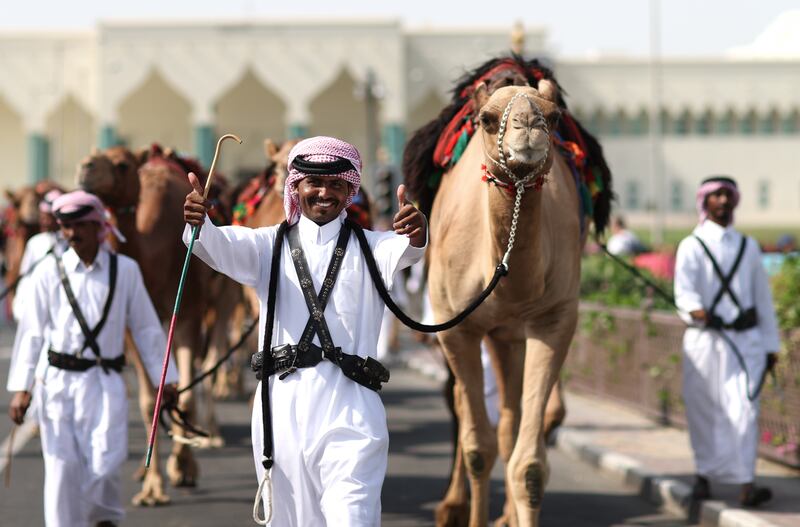 Camels are walked outside of the Qatar State Grand Mosque, Doha. Getty Images