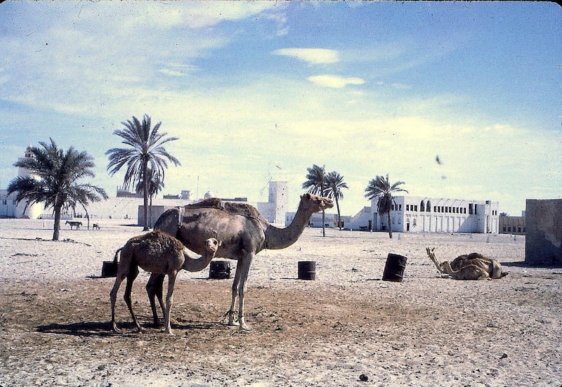 A photograph from the John Vale archive, a Briton who worked in the Trucial States / UAE for the oil industry from the late 1950s

Courtesy John Vale