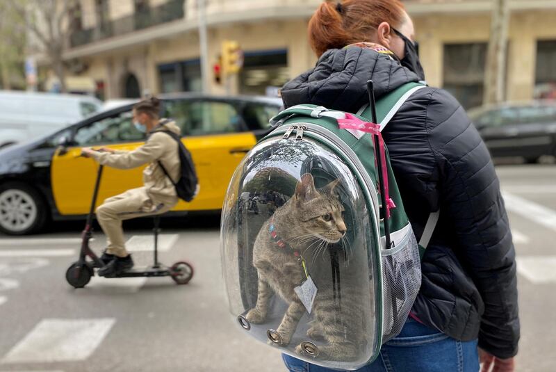 A woman wearing a protective face mask carries her pet cat in a backpack as they wait to cross a street, amid the coronavirus disease outbreak in Barcelona, Spain. Reuters