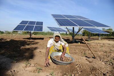In this photograph taken on December 27, 2015, Indian farmer Kusumben Parmar works near recently installed solar panels, which help to pump water to irrigate her fields in the village of Dhundi, some 90kms from Ahmedabad.  With the help of a subsidy of 95 percent of the cost from The International Water Management Institute and The Tata Trust, six farmers in the village of the western state of Gujarat have each installed six solar panels at a cost to them of 55,000 Indian Rupees (USD831) - the remaining 5 percent  - and will sell on surplus electricity created to the state electricity provider.  Thus enabling savings in the cost of diesel which is typically used to power irrigation devices. AFP PHOTO / Sam PANTHAKY (Photo by SAM PANTHAKY / AFP)