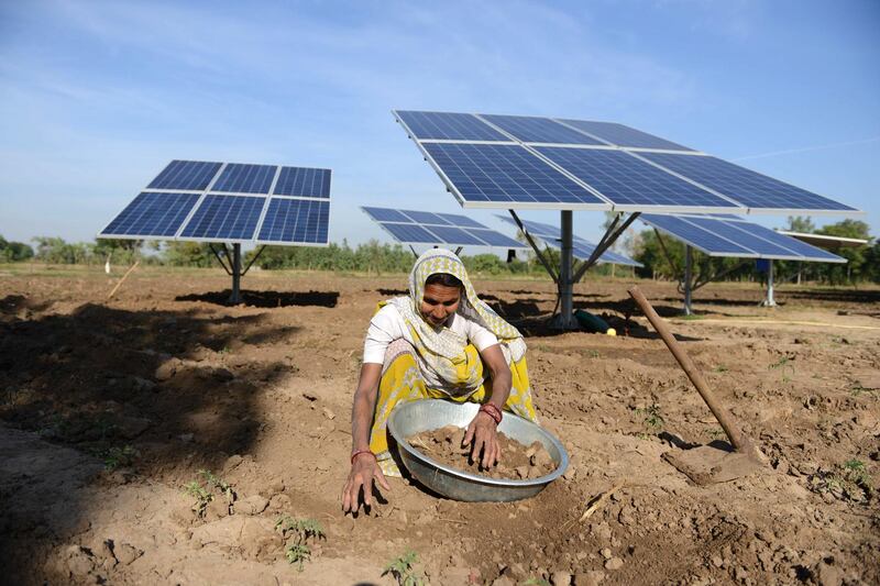 In this photograph taken on December 27, 2015, Indian farmer Kusumben Parmar works near recently installed solar panels, which help to pump water to irrigate her fields in the village of Dhundi, some 90kms from Ahmedabad.  With the help of a subsidy of 95 percent of the cost from The International Water Management Institute and The Tata Trust, six farmers in the village of the western state of Gujarat have each installed six solar panels at a cost to them of 55,000 Indian Rupees (USD831) - the remaining 5 percent  - and will sell on surplus electricity created to the state electricity provider.  Thus enabling savings in the cost of diesel which is typically used to power irrigation devices. AFP PHOTO / Sam PANTHAKY (Photo by SAM PANTHAKY / AFP)