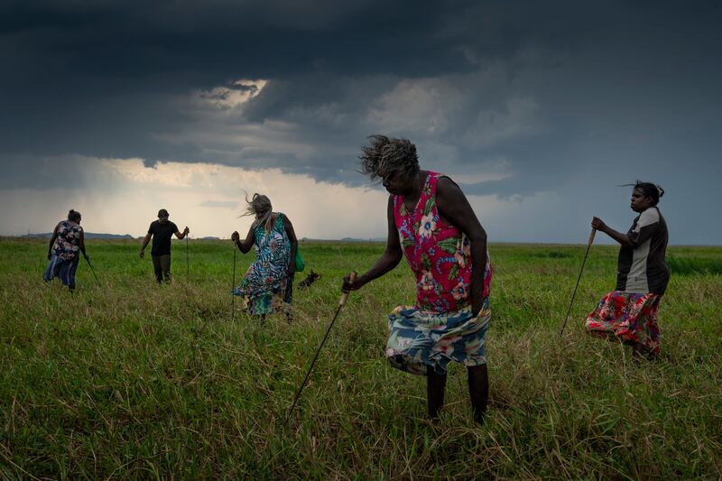 The photo which won the World Press Photo Story Of The Year award by Matthew Abbott for National Geographic Magazine/Panos Pictures, titled Saving Forests With Fire, shows a group of Nawarddeken women elders hunt for turtles with homemade tools on floodplains near Gunbalanya, Arnhem Land, Australia, October 31, 2021.  They spent all day finding just two turtles, which are a popular delicacy.  Soon the grass will be burned to make the hunt easier.  Matthew Abbott for National Geographic / Panos Pictures / World Press Photo