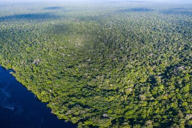 Many of the Amazon's secrets have yet to be discovered