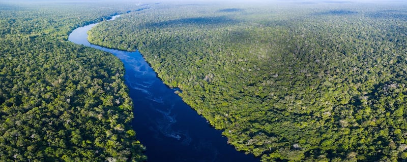 Amazon river in Brazil. Getty Images