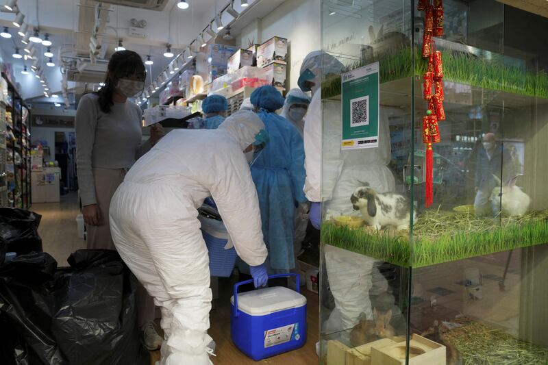 Officers in protective suits work inside the pet shop in Hong Kong's Mong Kok district. Reuters