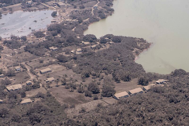 A picture taken by the New Zealand Air Force shows ash covering homes and vegetation. AFP