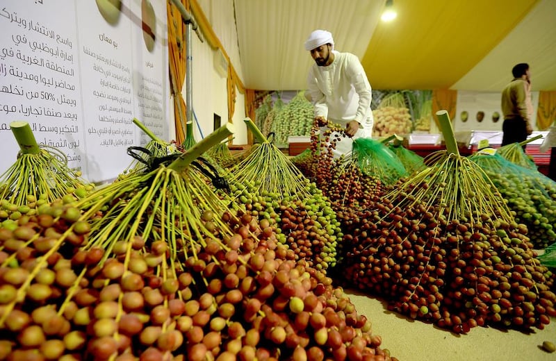 Dibbs, or date molasses, is produced in abundance and is a vitamin-packed natural sweetener that can substitute for imported molasses, syrups and processed sweeteners. Pictured: Abdullah Al Mazrouei, a volunteer at last year’s Liwa Date Festival, checks dates before they are judged. Ravindranath K / The National