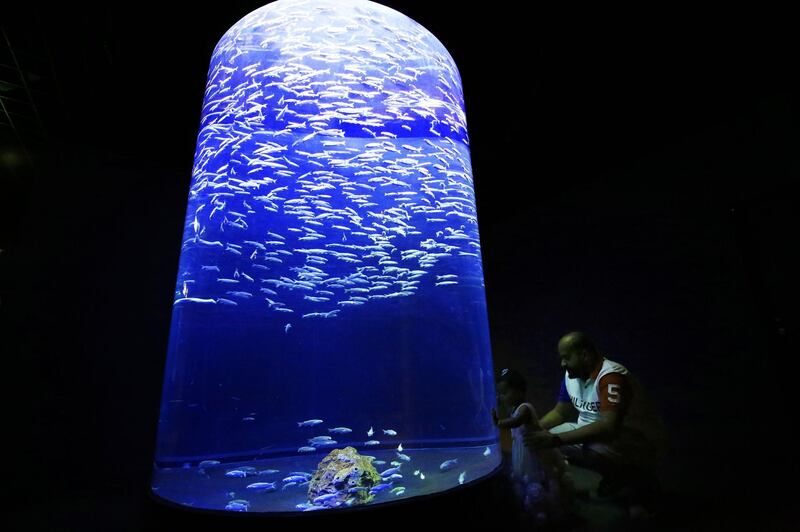 The aquarium at the Scientific Centre in Kuwait City. AFP