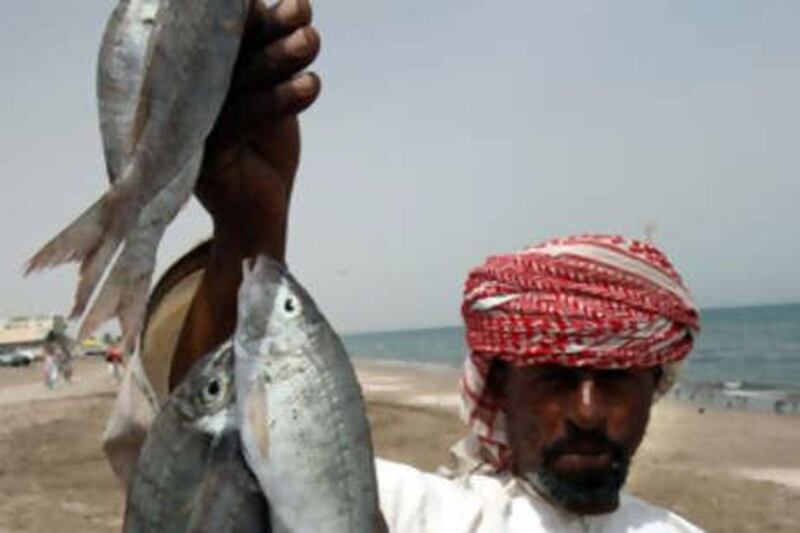 A fisherman holds his catch on the beach in the small fishing town of Barka, Oman, near the Malkai development.